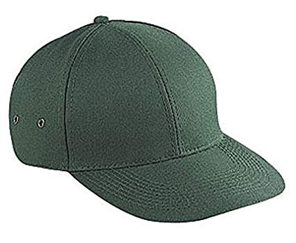 Hats & Caps Shop Brushed Cn Twill Sport Low Profile Pro Style Cap - By TheTargetBuys